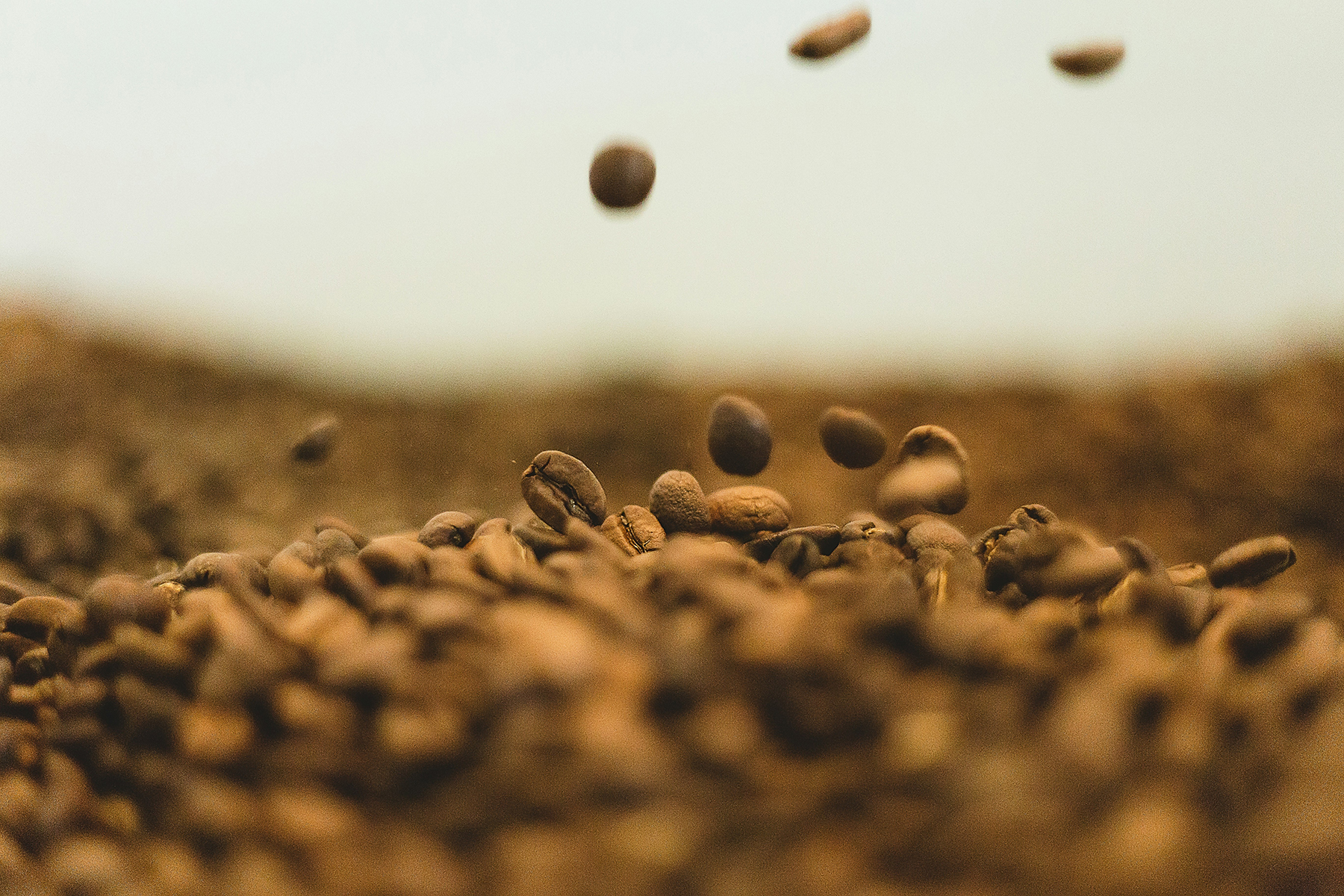 Your ultimate guide for coffee roasting at home