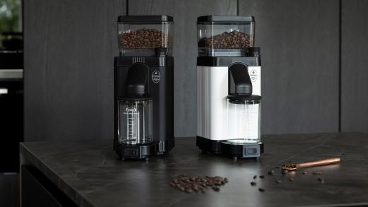 Difference between Arabica and Robusta beans